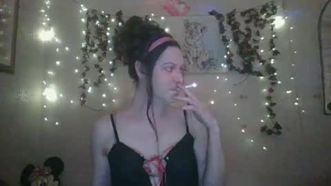 Snapshot of thesillymillie chatting on 12/25/24, 02:03 sillymillie0 online show from 12/25/24, 02:03