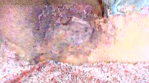 thetightestass14 online show from 02/20/25, 08:36