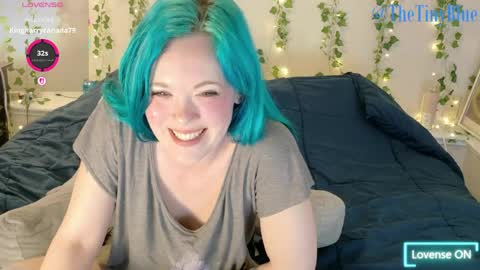 Snapshot of thetinyblue chatting on 04/22/26, 05:14 Tiny Blue online show from 04/22/26, 05:14