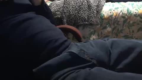 thetnguy online show from 01/12/25, 03:17