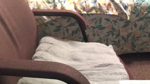 thetnguy online show from 04/20/26, 12:46