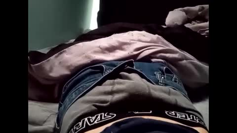 Snapshot of theturtleshead chatting on 01/23/25, 11:05 theturtleshead online show from 01/23/25, 11:05