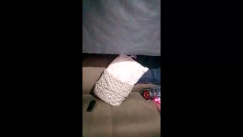 theyllorwillians online show from 05/15/26, 11:56