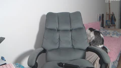 theysaidimcute online show from 02/19/26, 09:11