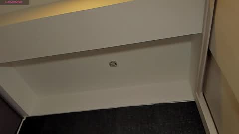 THIAGO MENESES online show from 01/15/26, 03:11