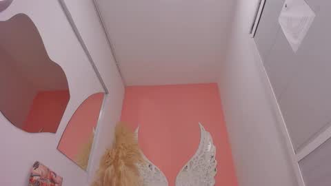 Lexxy online show from 02/02/26, 11:53