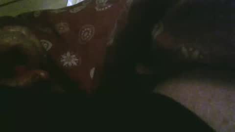 thisbloke96 online show from 12/17/25, 10:27