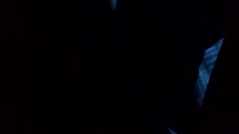 Snapshot of thisdixforyou chatting on 12/31/24, 07:40 thisdixforyou online show from 12/31/24, 07:40