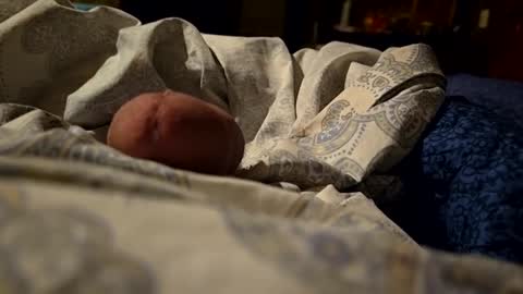 Snapshot of thisloadsforu chatting on 02/09/25, 07:16 thisloadsforu online show from 02/09/25, 07:16