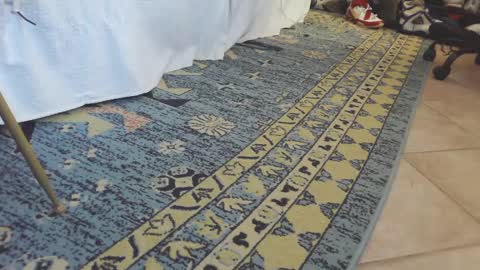 Snapshot of thongmuscle chatting on 02/27/25, 01:49 ThongMuscle online show from 02/27/25, 01:49