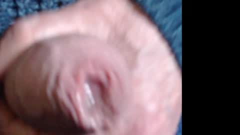 threephase323 online show from 04/18/26, 06:34