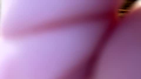 throatgoat2210 online show from 12/01/25, 01:05