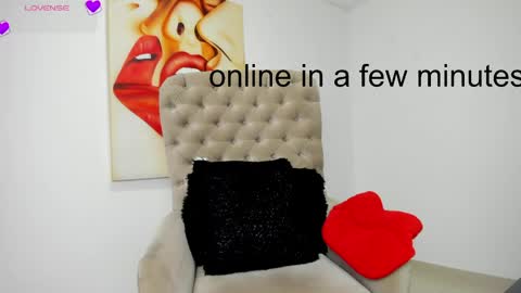 Snapshot of tiago_hannah chatting on 05/31/26, 10:55 carolina online show from 05/31/26, 10:55