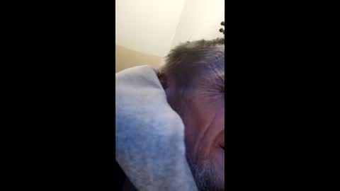 tibed1968836757 online show from 02/15/26, 08:49