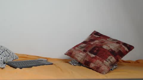 tiff online show from 12/23/24, 06:11