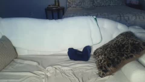 Snapshot of tiffanilove chatting on 02/08/25, 01:00 Tiffani Love online show from 02/08/25, 01:00