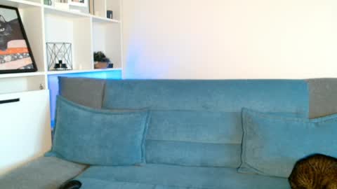 tiff online show from 04/16/26, 03:13