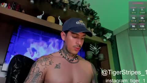 Snapshot of tigerstripes_ chatting on 01/08/25, 02:25 Chris online show from 01/08/25, 02:25