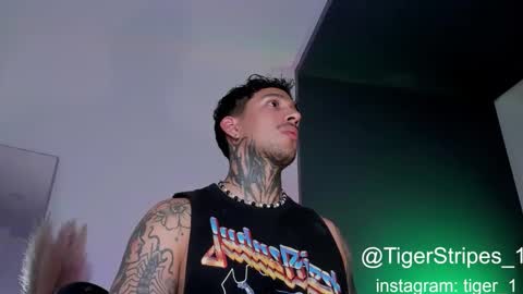 Snapshot of tigerstripes_ chatting on 02/01/25, 02:47 Chris online show from 02/01/25, 02:47