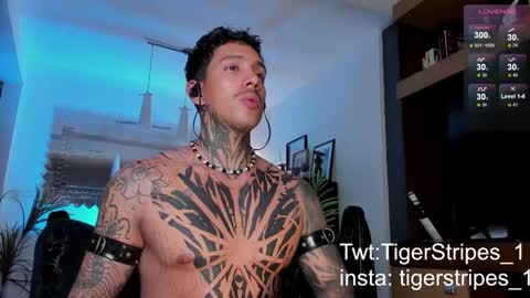 Snapshot of tigerstripes_ chatting on 02/22/25, 04:40 Chris online show from 02/22/25, 04:40