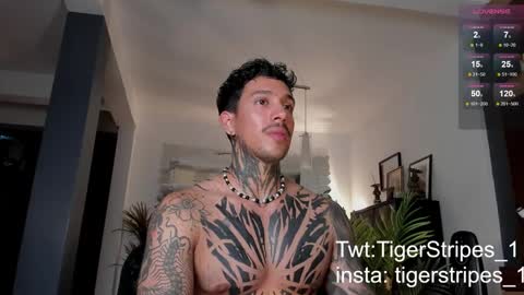 Snapshot of tigerstripes_ chatting on 02/28/25, 12:43 Chris online show from 02/28/25, 12:43