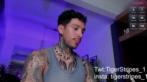 Snapshot of tigerstripes_ chatting on 03/02/25, 01:47 Chris online show from 03/02/25, 01:47