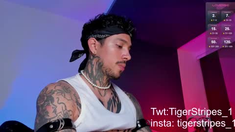 Snapshot of tigerstripes_ chatting on 03/11/25, 10:42 Chris online show from 03/11/25, 10:42