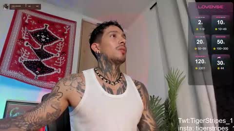 Snapshot of tigerstripes_ chatting on 03/04/26, 01:11 Chris online show from 03/04/26, 01:11