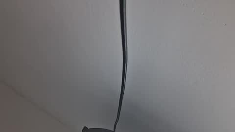 tiko392 online show from 04/10/26, 10:20