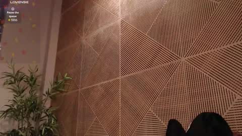 Tim Fox online show from 02/17/26, 12:01