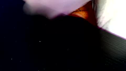 timer08230823 online show from 04/19/26, 07:51