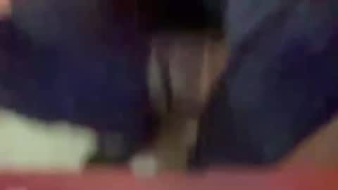 Snapshot of timplaw chatting on 01/03/25, 03:33 Timplaw online show from 01/03/25, 03:33