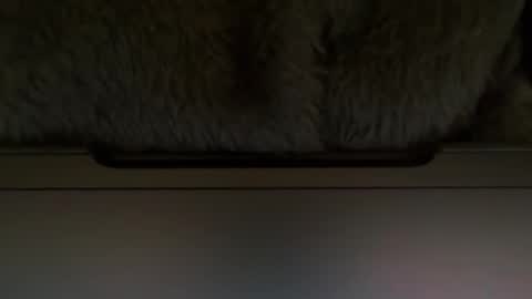 Snapshot of timplaw chatting on 02/11/25, 01:20 Timplaw online show from 02/11/25, 01:20