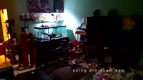 tinalover4u2 online show from 11/17/25, 06:35