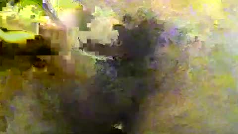 Snapshot of tirius_barkhan chatting on 11/30/25, 06:45 Tirius Barkhan online show from 11/30/25, 06:45