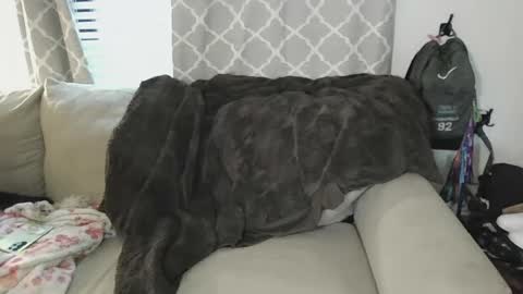 Snapshot of tittee_mcgee chatting on 09/19/25, 06:41 tittee mcgee online show from 09/19/25, 06:41