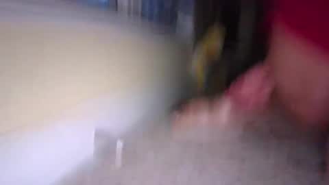 Snapshot of tj526316275 chatting on 01/09/25, 12:19 tj526316275 online show from 01/09/25, 12:19