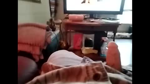 tjllagwbggrr online show from 01/05/26, 07:28