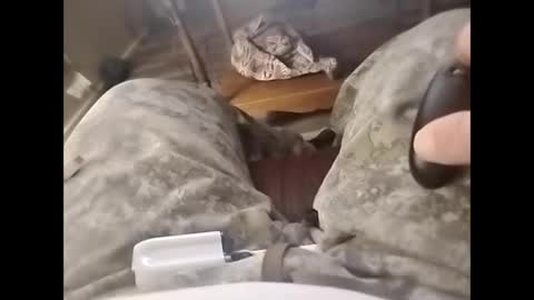 tjllagwbggrr online show from 02/03/26, 05:16