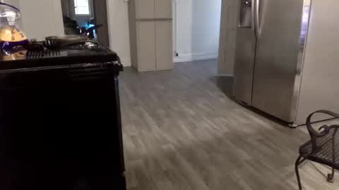 Snapshot of tnich28 chatting on 01/14/26, 11:42 tnich28 online show from 01/14/26, 11:42