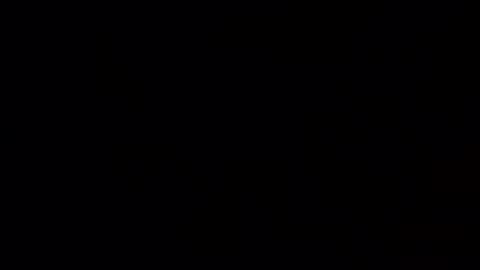 tnt8637 online show from 04/13/26, 07:19