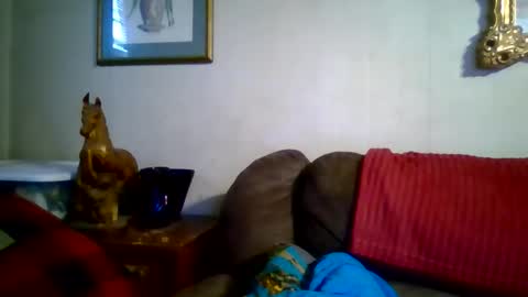 Vols online show from 01/07/26, 09:28