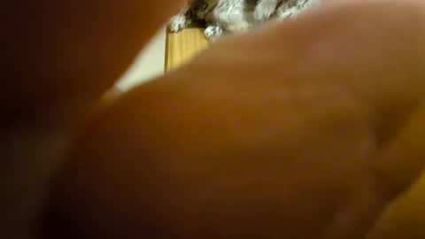 Snapshot of toadinhole chatting on 12/08/24, 11:35 Toady online show from 12/08/24, 11:35