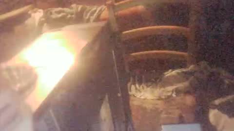 tobimcfly723 online show from 04/16/26, 11:29