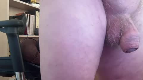 Togbear online show from 07/28/26, 07:59