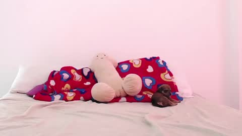 Adela y juan online show from 12/02/24, 05:04