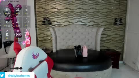 toky         online show from 01/09/25, 06:57