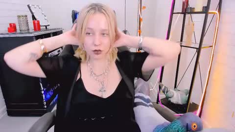 Snapshot of tollimoll chatting on 12/06/24, 12:16 Tolli Moll online show from 12/06/24, 12:16