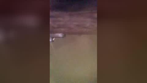 tomcop11111 online show from 03/29/26, 09:20