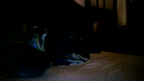 Snapshot of tommy_mackz chatting on 03/02/26, 05:08 tommy mackz online show from 03/02/26, 05:08